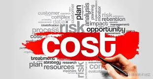 Cost of the Connection