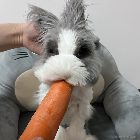 陇锦于2022-02-26 23:09发布的图片