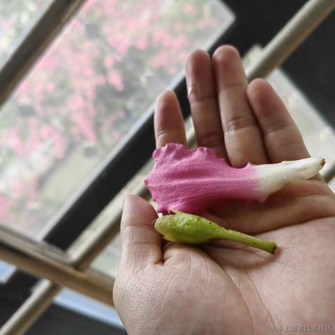 李小政935于2022-11-24 08:01发布的图片