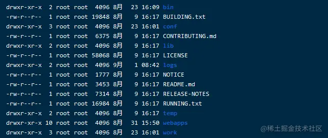 image-20210901113537183