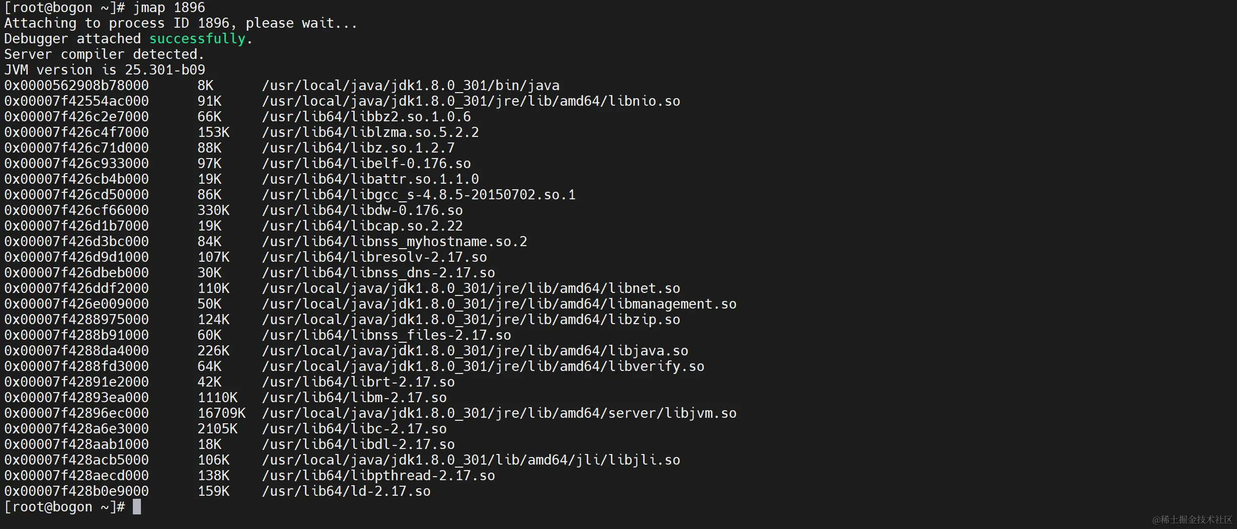 image-20240104183130822