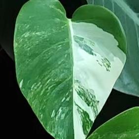 BK0717于2022-11-28 12:58发布的图片