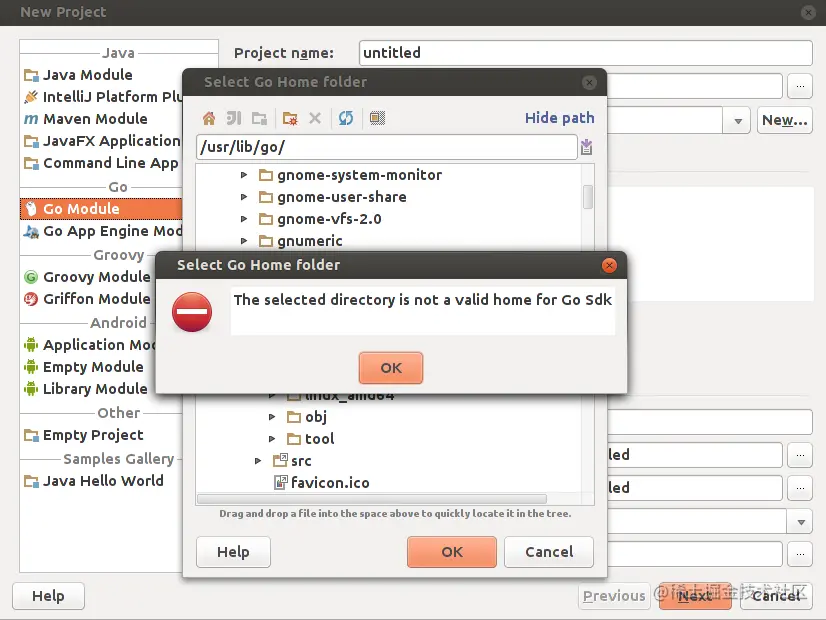 The selected directory is not a valid home for Go Sdk