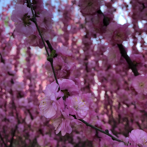 前端精髓于2021-04-04 19:55发布的图片