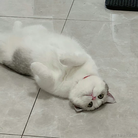 乃王木木困不犯困于2022-12-06 23:44发布的图片