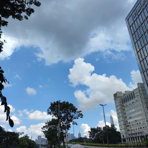 weiliangg于2023-09-17 13:03发布的图片