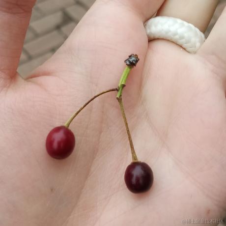 ntses于2023-05-07 23:04发布的图片