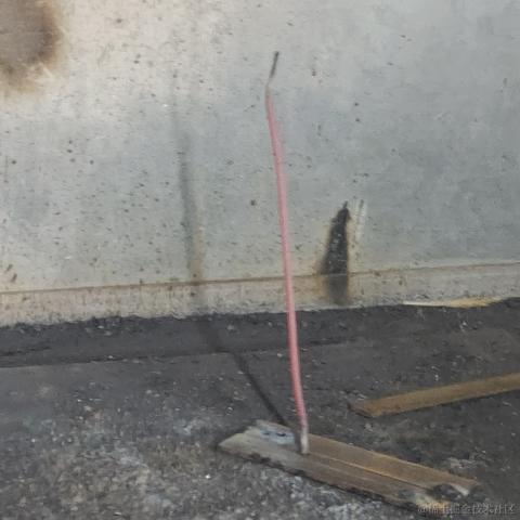 Belluckira于2022-11-14 15:53发布的图片