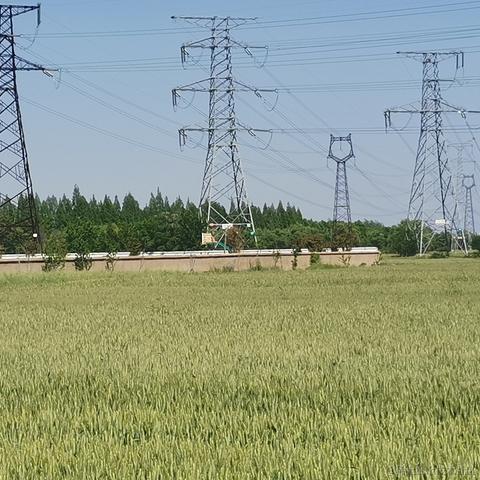 旺旺99于2023-05-16 10:47发布的图片
