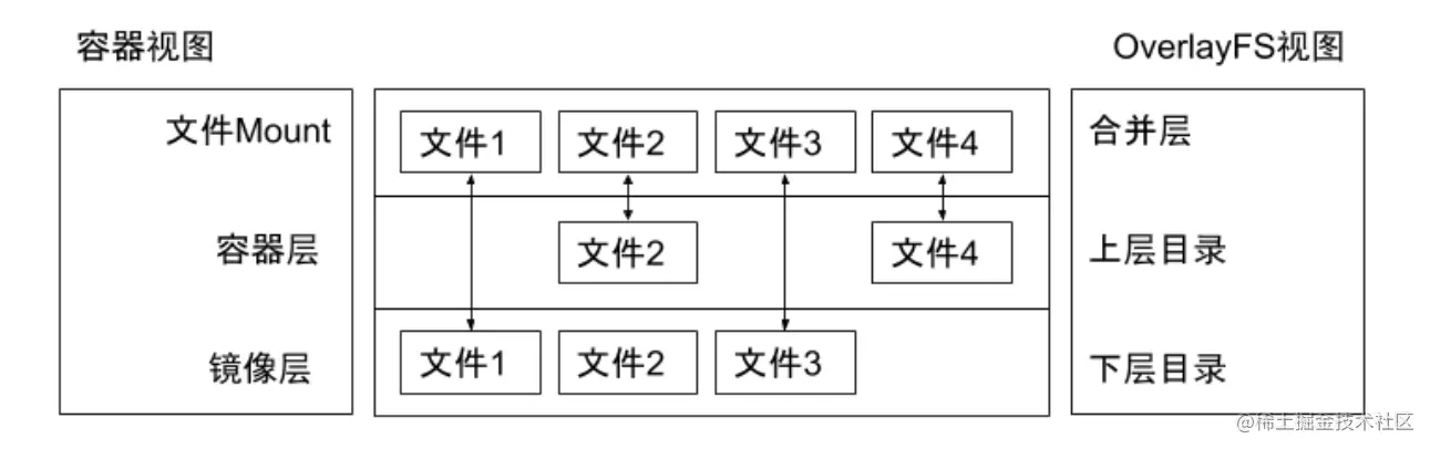 image-20220309100645481