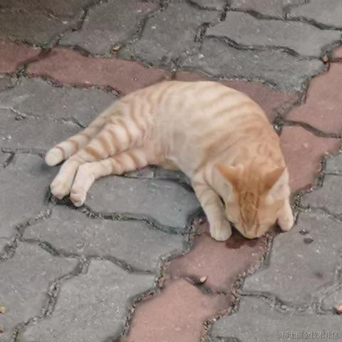 Wei于2022-11-17 23:51发布的图片