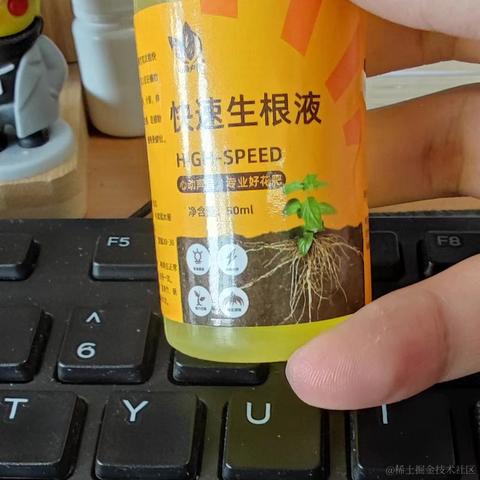 梦想是回家养猪于2024-05-29 14:07发布的图片