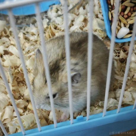 用户7127111593181于2023-04-16 23:42发布的图片