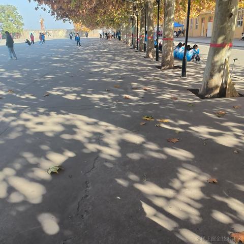 彧琰勳瑛于2022-11-17 11:14发布的图片