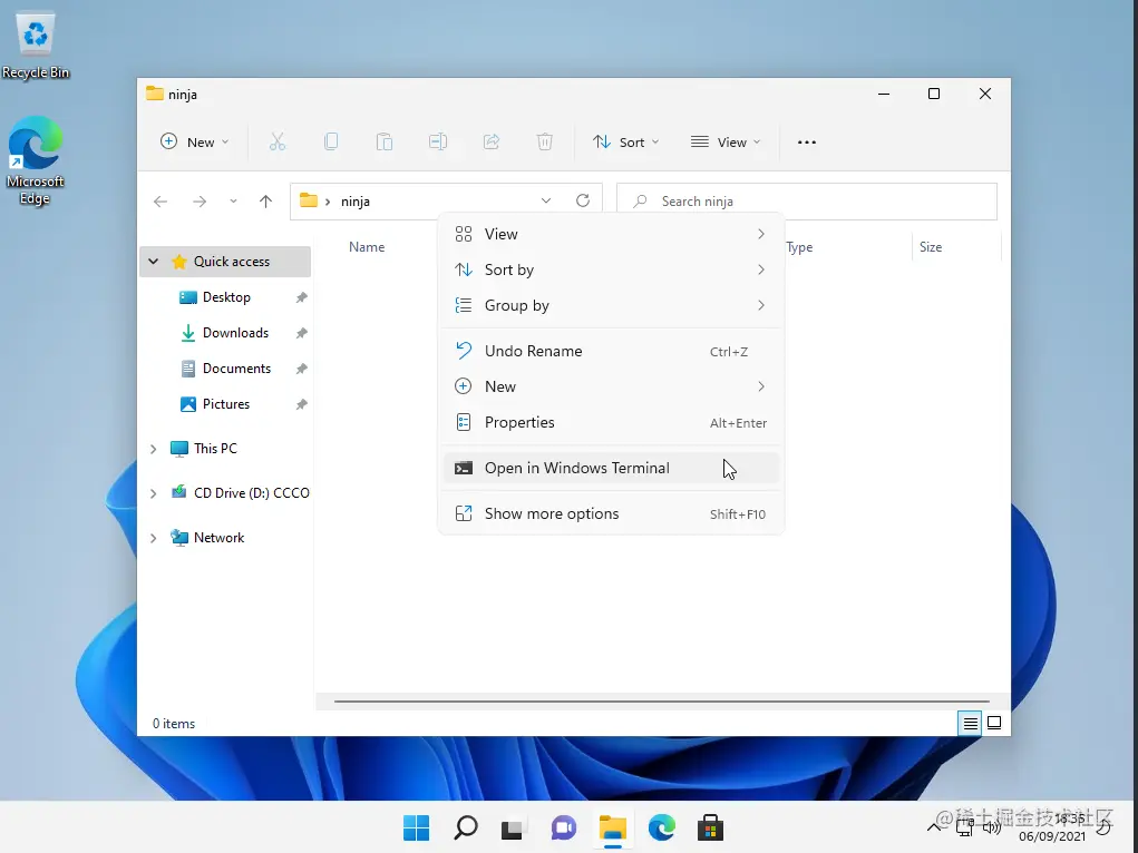 The Open Terminal option in Windows 11
