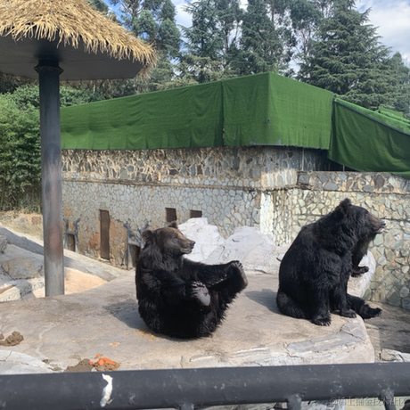 切图_仔于2022-11-26 17:55发布的图片