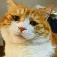 不介意的咱先磕个头于2022-01-07 11:46发布的图片