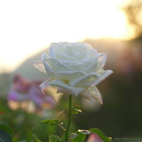 向晚的妻子于2022-11-09 18:35发布的图片