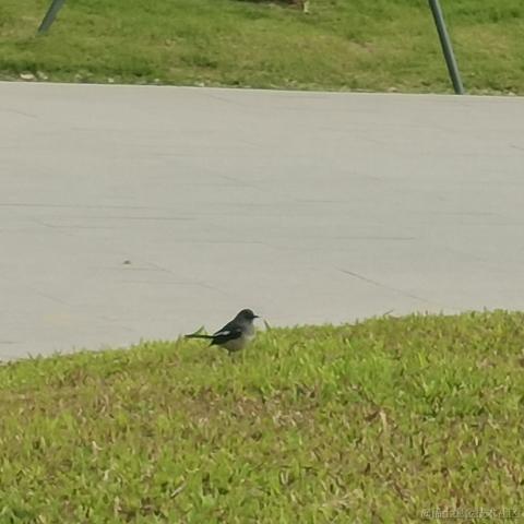 一般通过修伞er于2022-12-12 14:58发布的图片