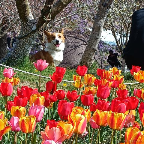 Grong于2023-04-19 19:49发布的图片