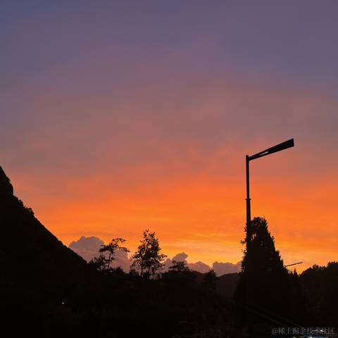 奥地利大番茄于2023-08-02 19:06发布的图片