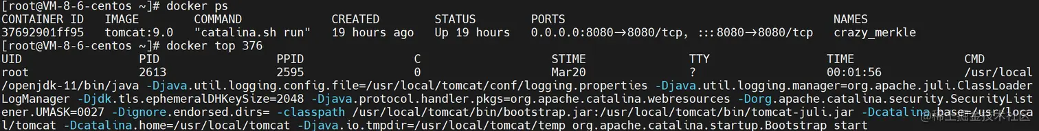 image-20230321095746021