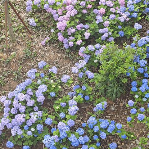 尼古拉斯阿柴于2023-05-27 10:53发布的图片