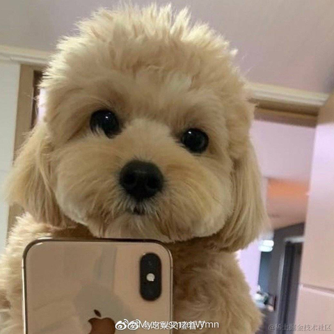 Abbeyyyyyyy于2020-10-12 13:42发布的图片