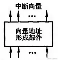 image-20240127114327506