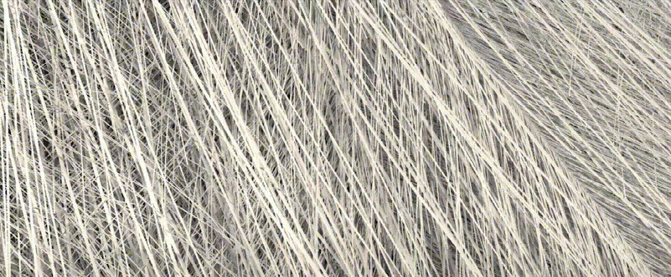 《老鹰抓小鸡》制作亮点 - 瑞云渲染