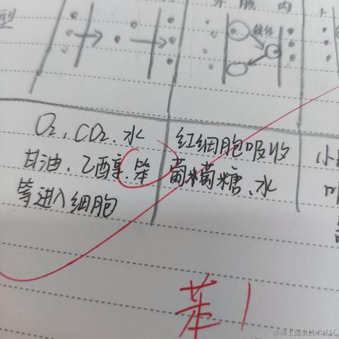 猫雷最强于2022-11-11 23:33发布的图片