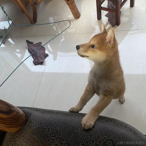 _莲于2021-11-24 22:39发布的图片