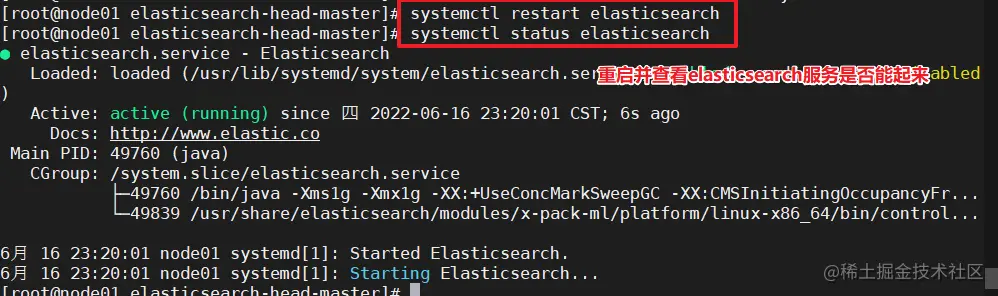 image-20220616232043586