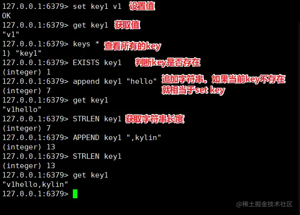 image-20200424151521600