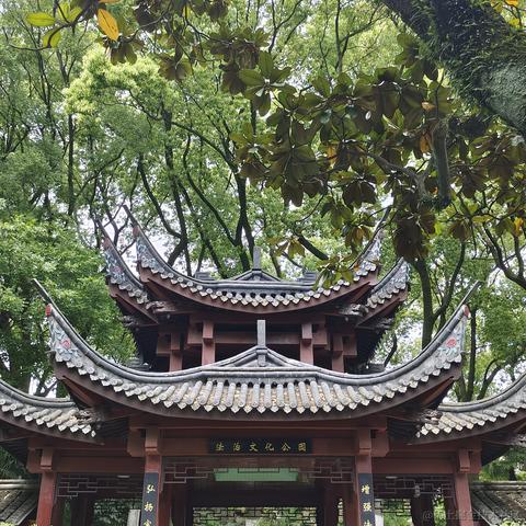 bananakaba于2023-04-22 22:18发布的图片