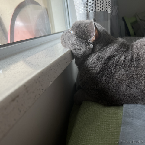 bellaQAQ于2023-06-30 09:03发布的图片