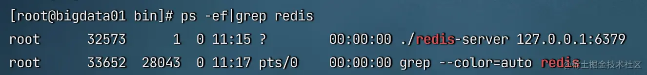 image-20221211111724288