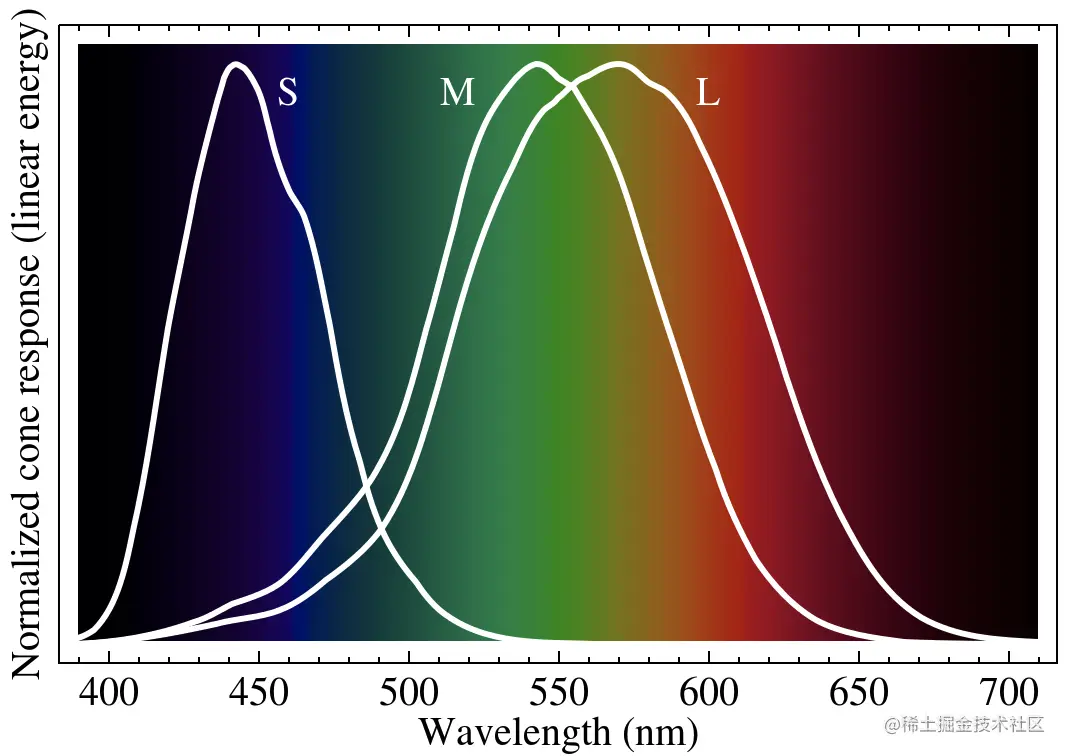 视锥细胞敏感频率