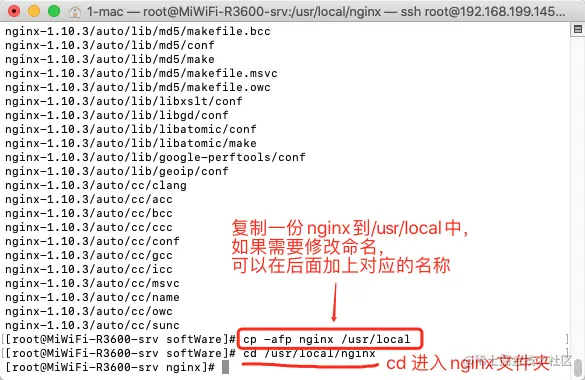 复制nginx到/usr/local
