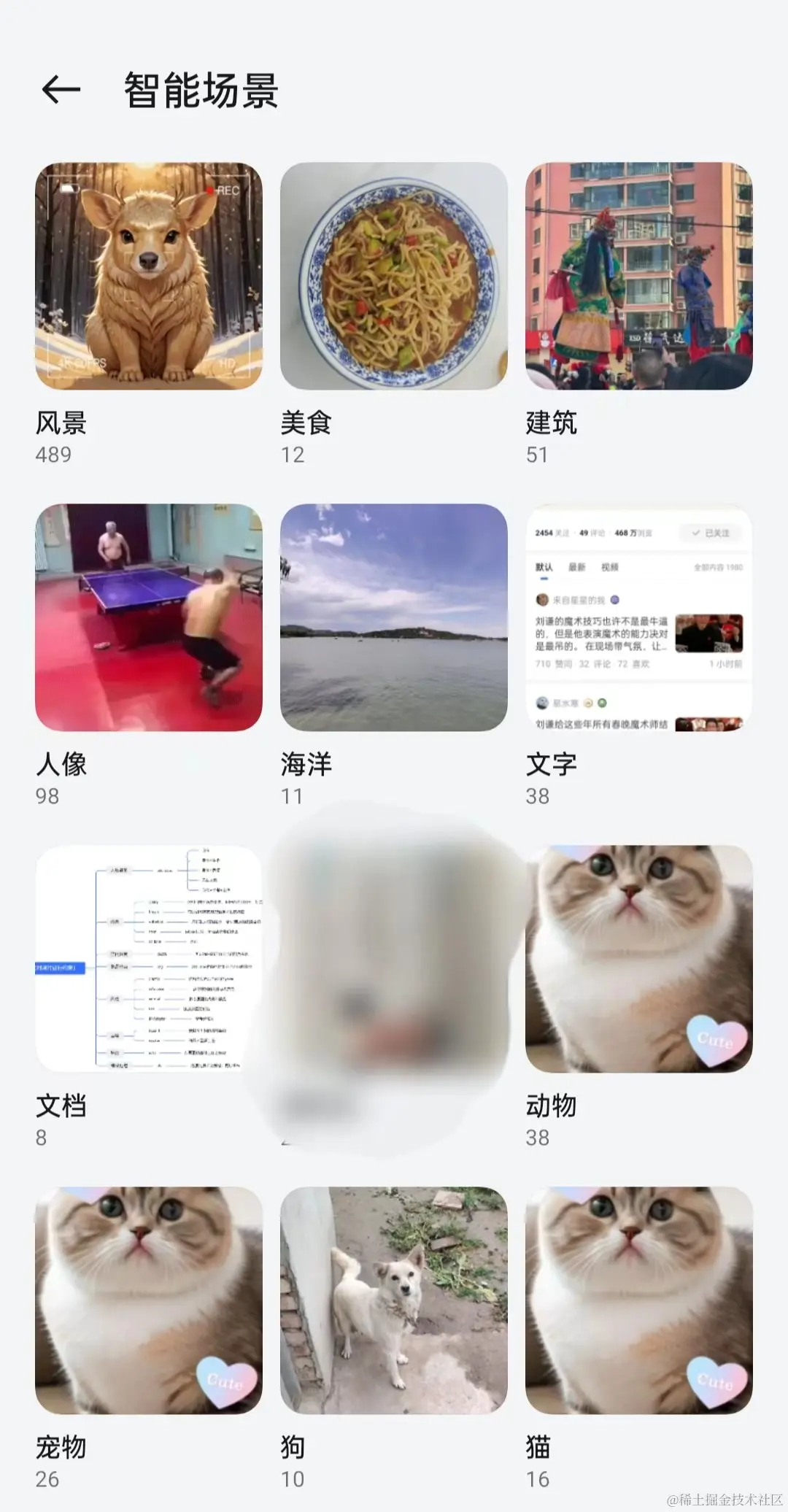 gallery.jpg