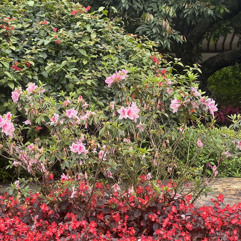 Qt历险记于2024-03-30 15:18发布的图片