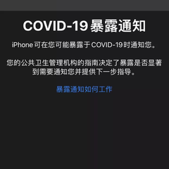 大帅老猿于2020-11-13 17:34发布的图片