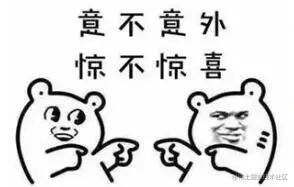 惊不惊喜-行为3