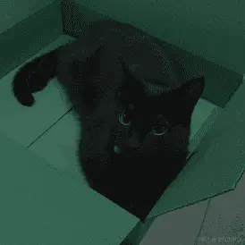 ColorJitter 应用于所有参数为 0.5