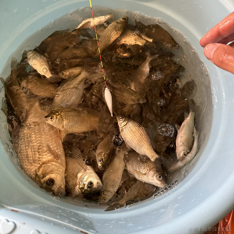 devhg于2023-05-03 21:15发布的图片