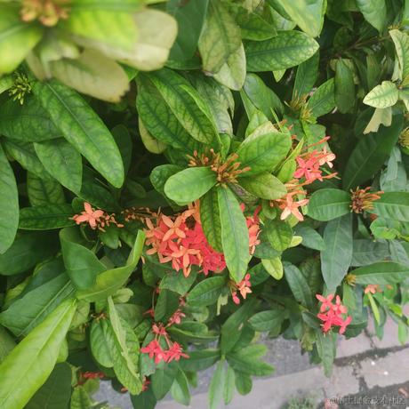 六条御息所于2023-06-20 18:00发布的图片