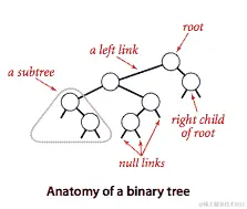 二叉树的解剖