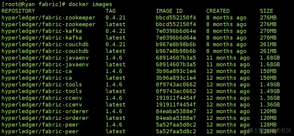 image-20210225094343169