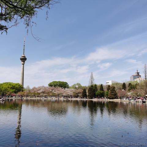 cancy于2021-04-06 16:10发布的图片