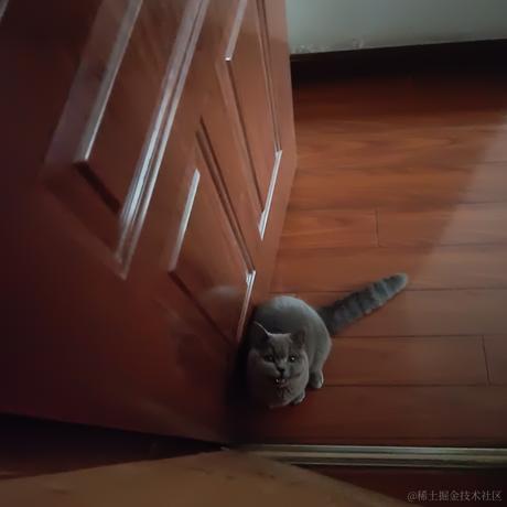 尤依莉于2022-06-26 07:37发布的图片